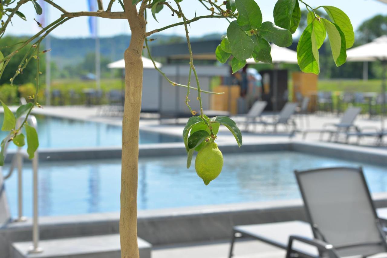 mk hotel tirana Rinas Eksteriør billede The swimming pool